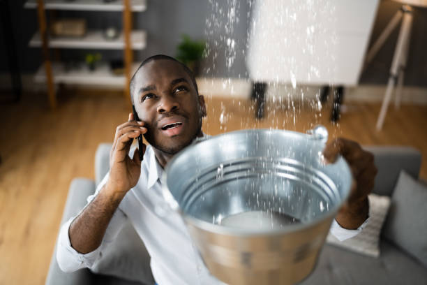Best Mold removal after water damage  in Ambridge, PA