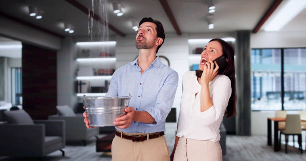 Best Water damage restoration mold remediation  in Ambridge, PA